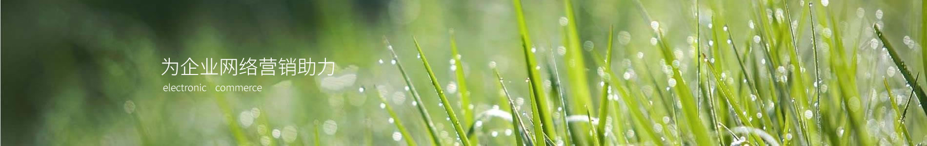 ڿƷ޹˾